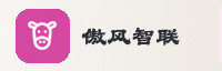 合作伙伴